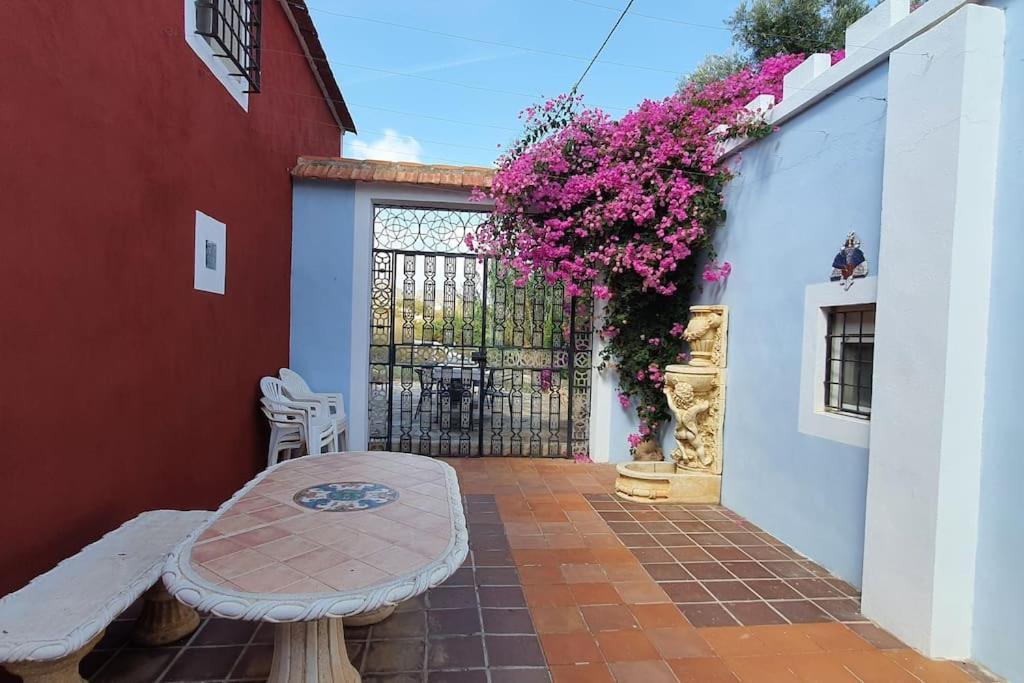 Oasis De Ifre Villa Canada de Gallego ภายนอก รูปภาพ
