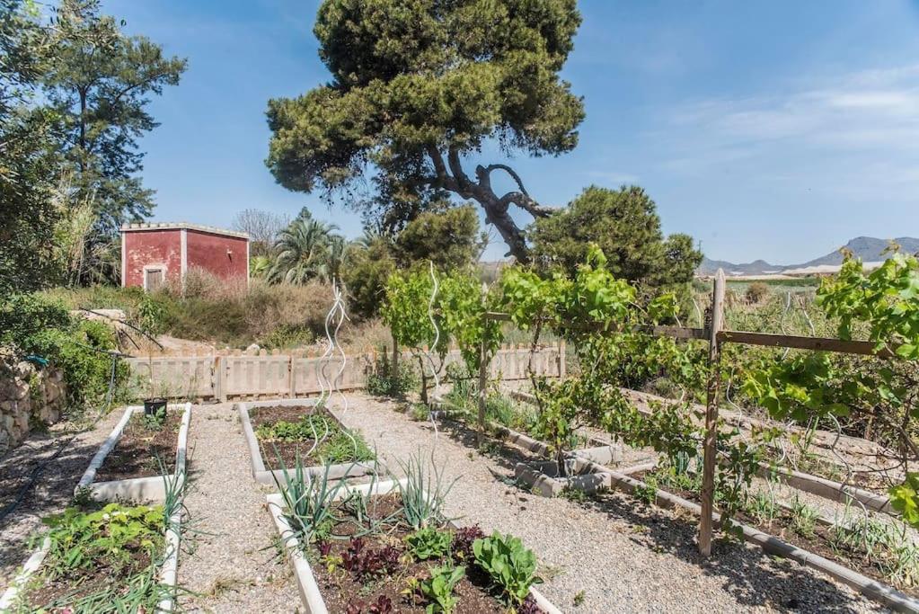 Oasis De Ifre Villa Canada de Gallego ภายนอก รูปภาพ