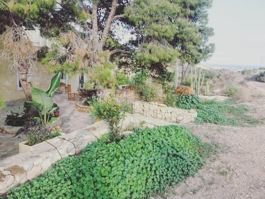Oasis De Ifre Villa Canada de Gallego ภายนอก รูปภาพ