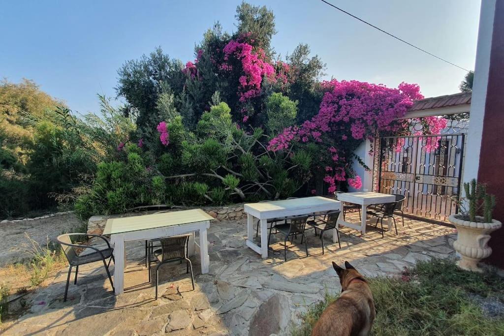 Oasis De Ifre Villa Canada de Gallego ภายนอก รูปภาพ