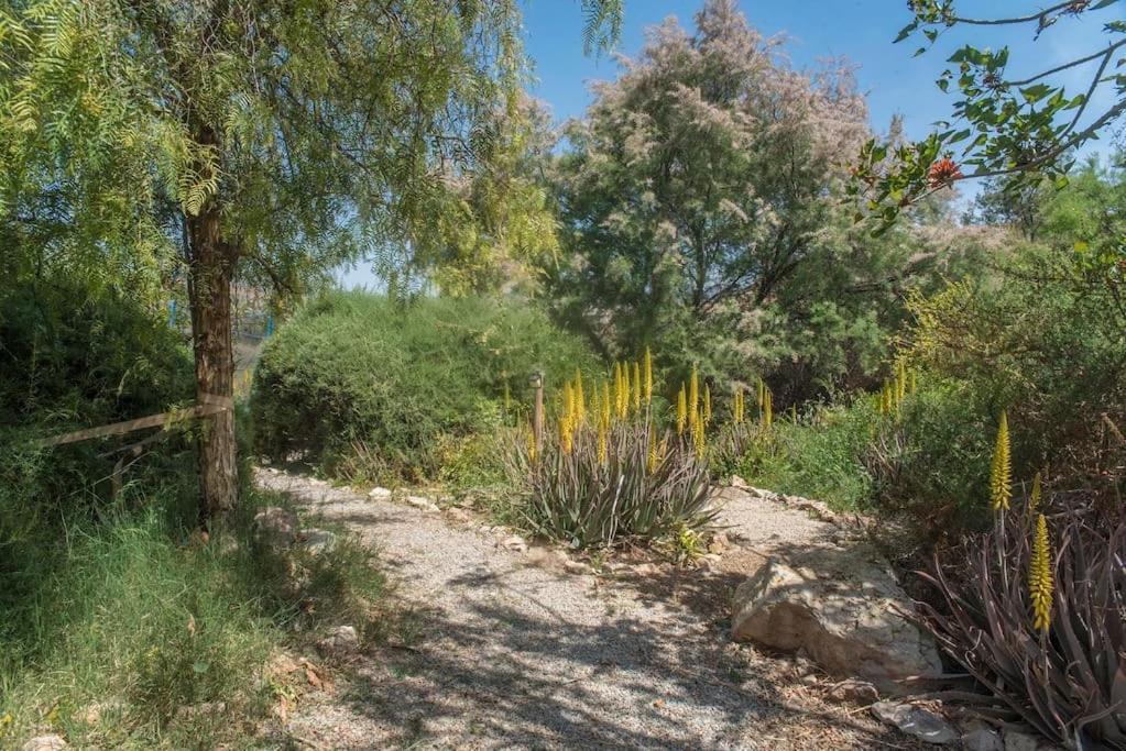 Oasis De Ifre Villa Canada de Gallego ภายนอก รูปภาพ
